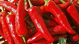 吃辣椒嗆到氣管怎么辦?食用辣椒注意事項