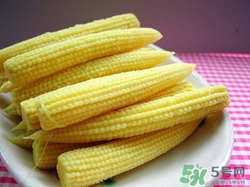 玉米筍是什么?玉米筍的功效與作用 玉米筍是什么?玉米筍的功效與作用