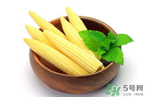 玉米筍是什么?玉米筍的功效與作用 玉米筍是什么?玉米筍的功效與作用