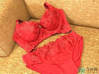 黛安芬內(nèi)衣怎么樣？黛安芬內(nèi)衣價(jià)格圖片