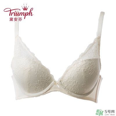 黛安芬內(nèi)衣怎么樣？黛安芬內(nèi)衣價(jià)格圖片