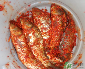 腌魚放多少鹽？腌魚放鹽的比例