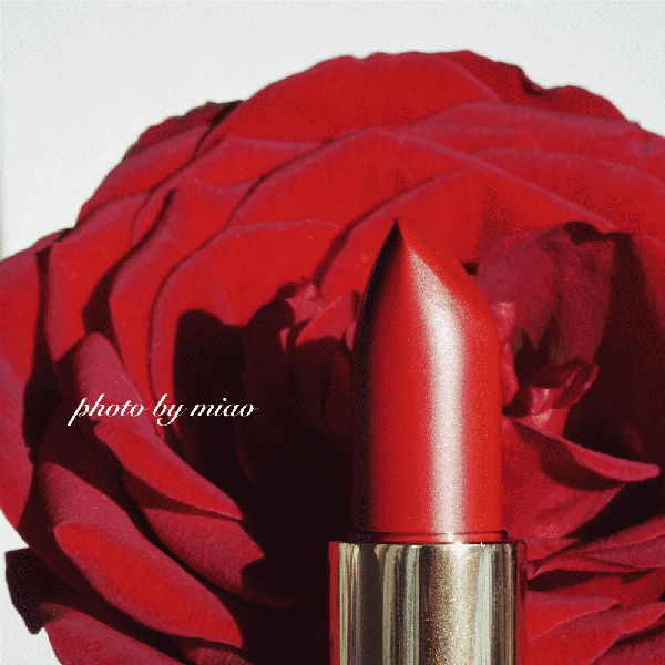 蘭蔻菁純絲絨唇膏290多少錢？蘭蔻菁純絲絨唇膏290專柜價格