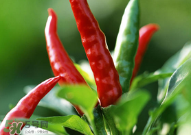 新鮮辣椒怎么保存？新鮮辣椒怎么保存更久？