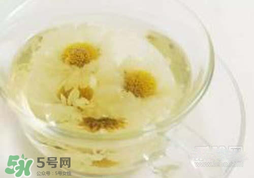 菊花茶什么時(shí)候喝最好？菊花茶什么季節(jié)喝最好？