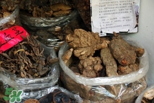 小孩可以吃靈芝嗎?小孩吃靈芝有什么作用