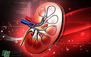 腎陰虛能吃靈芝嗎?腎陰虛吃什么食物 腎陰虛能吃靈芝嗎?腎陰虛吃什么食物