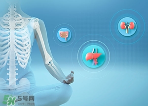 腎陰虛能吃靈芝嗎?腎陰虛吃什么食物 腎陰虛能吃靈芝嗎?腎陰虛吃什么食物