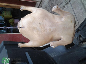 腌鴨子要腌多長(zhǎng)時(shí)間？腌鴨子需要多長(zhǎng)時(shí)間？