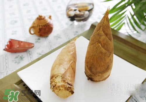 冬筍可以放冰箱嗎？冬筍放冰箱保存方法