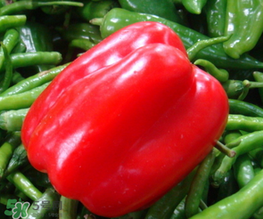 辣椒變紅能吃嗎？辣椒為什么會變紅？