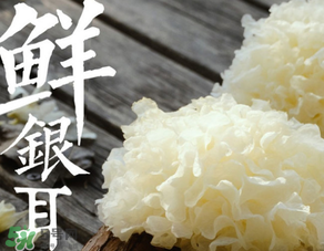 新鮮銀耳有毒嗎？新鮮銀耳怎么去毒？