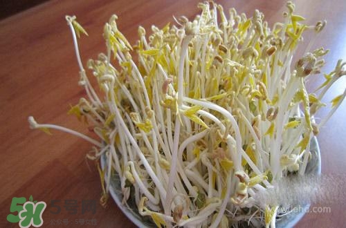 豆芽糖尿病可以吃嗎？糖尿病吃豆芽有什么好處？