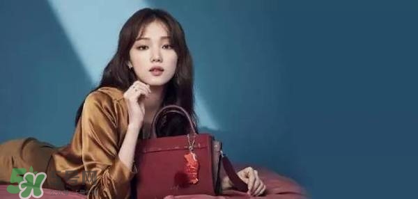 李圣經(jīng)的包包什么牌子？李圣經(jīng)包包同款