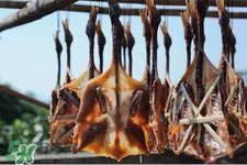 臘鴨要蒸多久？臘鴨要蒸長(zhǎng)時(shí)間能熟？