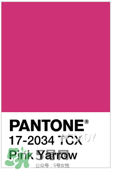2017年指甲流行什么顏色？2017年流行什么指甲？