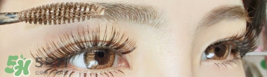 染眉膏怎么用？染眉膏使用方法圖解