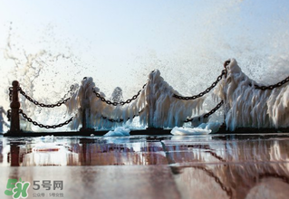 2017年?三九天從什么時(shí)候開(kāi)始？2017年三九天時(shí)間表