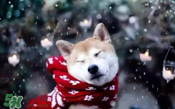 2017年冷空氣什么時候？2017年冷空氣最新消息