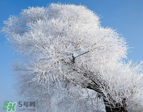 2017年第一場(chǎng)雪什么時(shí)候？2017年什么時(shí)候下雪？