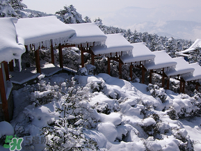 2017年第一場(chǎng)雪什么時(shí)候？2017年什么時(shí)候下雪？