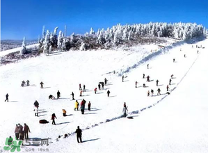 2017年三九四九是什么時候？2017年四九是哪天？