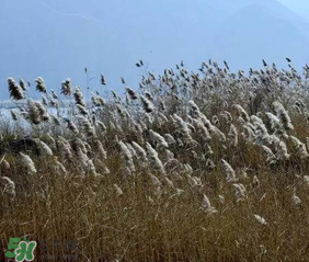 五九是什么時(shí)候？2017年五九是哪一天？