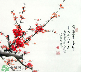 數(shù)九天什么時(shí)候最冷？數(shù)九天幾九最冷？