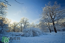 2017年過年天氣怎么樣？2017過年會下雨嗎？