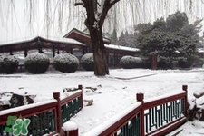 2017年過(guò)年會(huì)下雪嗎？2017年過(guò)年天氣情況