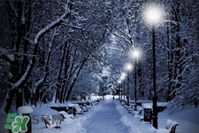 2017年過(guò)年會(huì)下雪嗎？2017年過(guò)年天氣情況