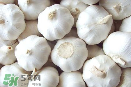 2017過年大蒜會漲價嗎？2017年春節(jié)大蒜價格預測