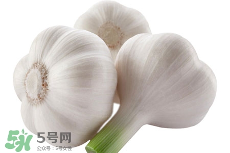 2017過年大蒜會漲價嗎？2017年春節(jié)大蒜價格預測