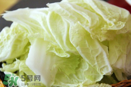 2017過年白菜會(huì)漲價(jià)嗎？2017年春節(jié)白菜價(jià)格預(yù)測(cè)