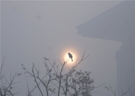 霧霾一天中什么時候最嚴(yán)重?霧霾什么時候散? 霧霾一天中什么時候最嚴(yán)重?霧霾什么時候散?