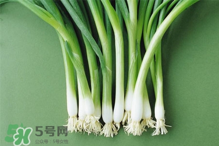 2017過年大蔥會漲價嗎？2017年春節(jié)大蔥價格預(yù)測