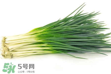 2017過(guò)年小蔥會(huì)漲價(jià)嗎？2017年春節(jié)小蔥價(jià)格預(yù)測(cè)