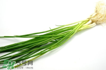 2017過(guò)年小蔥會(huì)漲價(jià)嗎？2017年春節(jié)小蔥價(jià)格預(yù)測(cè)