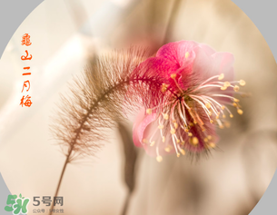 七九是哪一天？2017年七九是哪天？