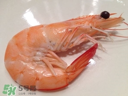 白灼蝦可以隔夜吃么?白灼蝦隔夜怎么保存 白灼蝦可以隔夜吃么?白灼蝦隔夜怎么保存