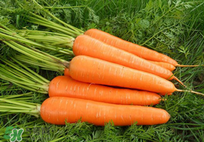 胡蘿卜心變白能吃嗎？胡蘿卜心發(fā)白可以吃嗎？