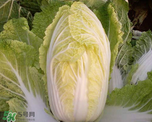 白菜葉子上的小黑點是什么？白菜葉子上有黑點能吃嗎？