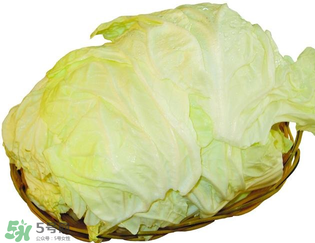 白菜發(fā)苦能吃嗎？大白菜發(fā)苦是什么原因？