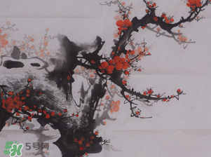 梅花可以放臥室嗎？梅花放在臥室風水好嗎？