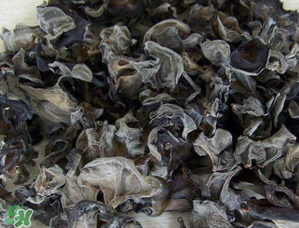 干木耳泡多久可以吃？干木耳泡了兩天還能吃嗎？