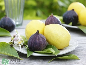 無(wú)花果干可以泡水喝嗎?無(wú)花果干泡水喝的功效 無(wú)花果干可以泡水喝嗎?無(wú)花果干泡水喝的功效