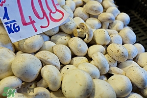 無(wú)花果干可以泡水喝嗎?無(wú)花果干泡水喝的功效 無(wú)花果干可以泡水喝嗎?無(wú)花果干泡水喝的功效