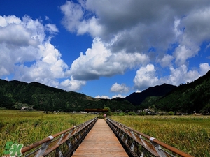 春節(jié)去云南穿什么？云南春節(jié)過年穿什么衣服？