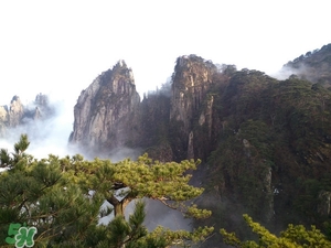 春節(jié)去廈門穿什么衣服？過年春節(jié)廈門穿什么？