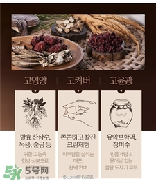 missha謎尚玫瑰氣墊色號 謎尚玫瑰氣墊粉試色 missha謎尚玫瑰氣墊色號 謎尚玫瑰氣墊粉試色